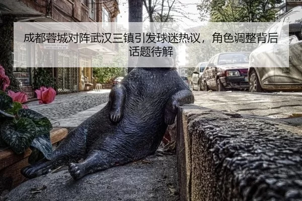 成都蓉城对阵武汉三镇引发球迷热议，角色调整背后话题待解