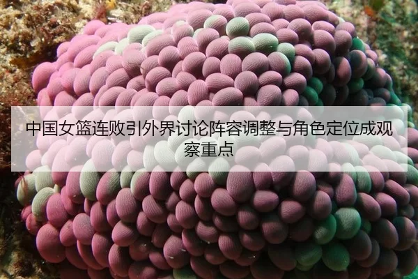 中国女篮连败引外界讨论阵容调整与角色定位成观察重点